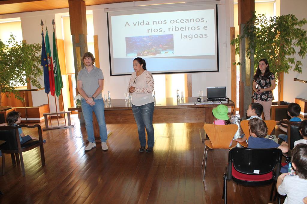 IMG 0569 Copy