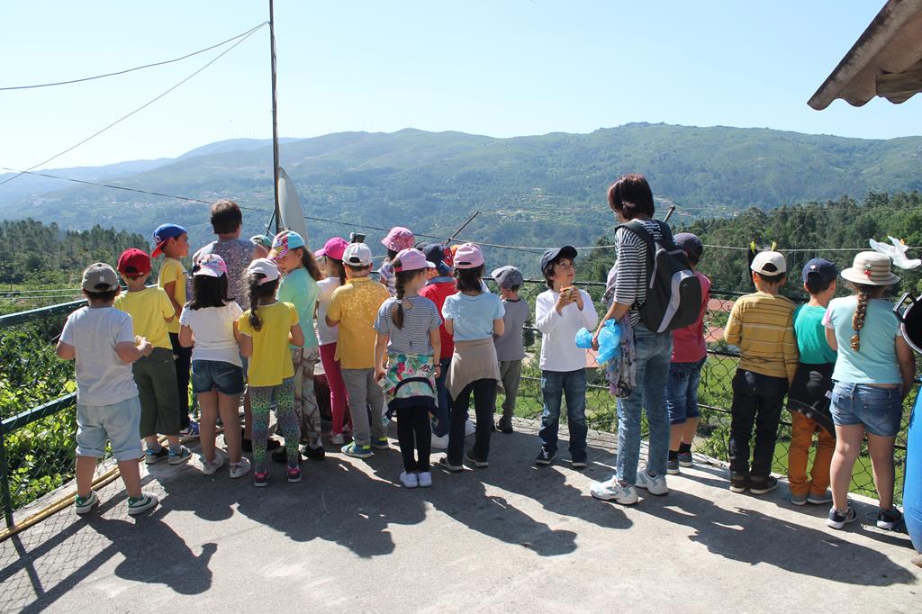 IMG 0099 Copy