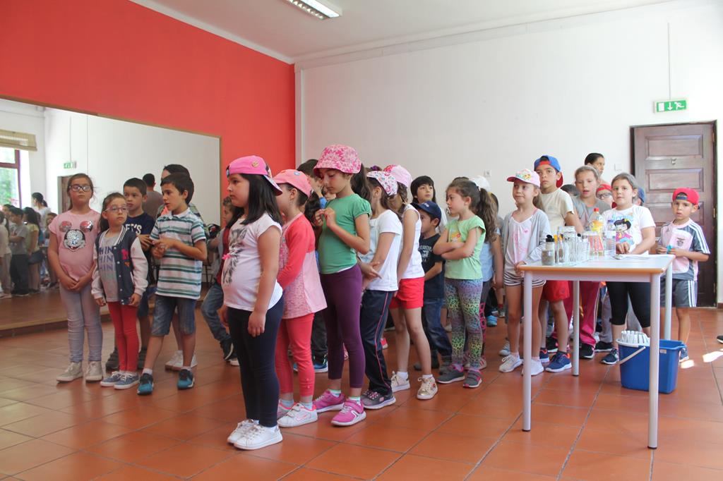 IMG 0712 Copy