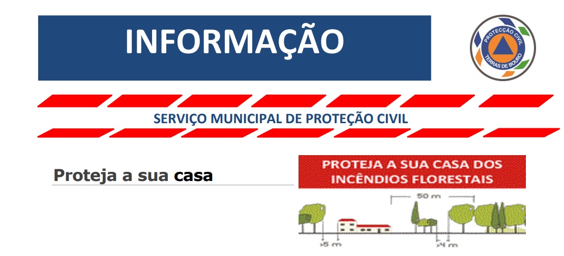 Sem Título