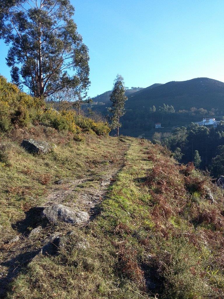 Geira após XVII