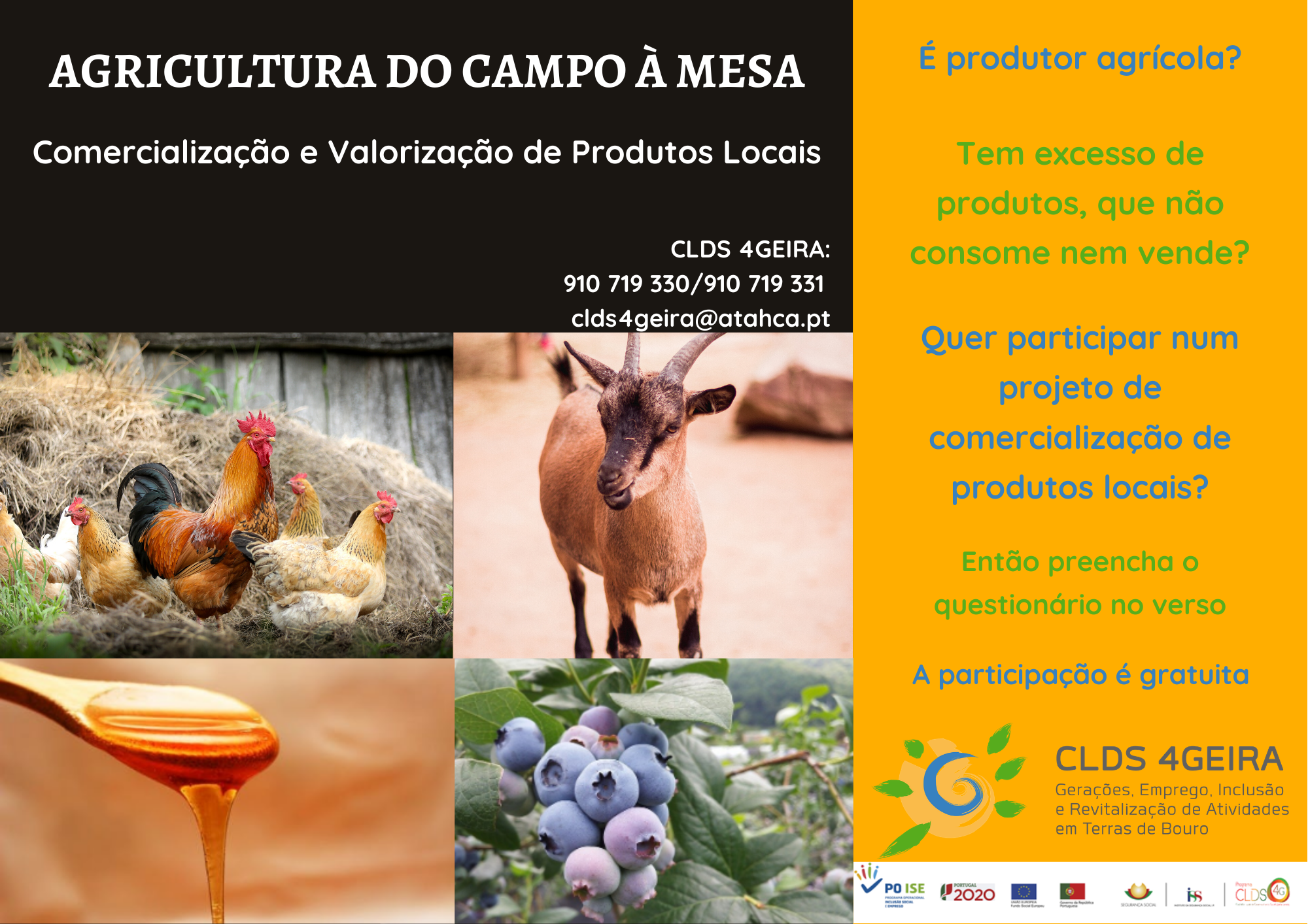cartaz