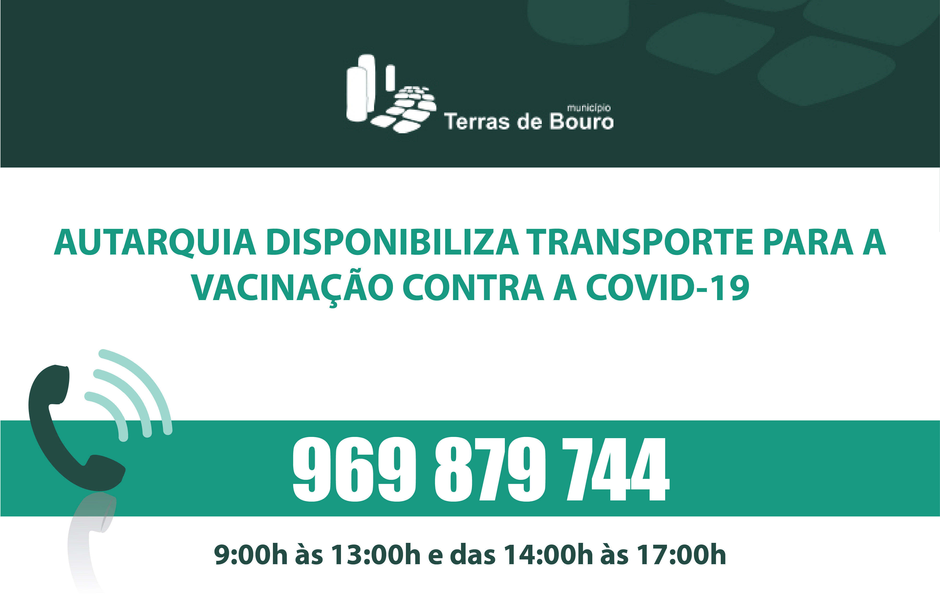 transp covid 01