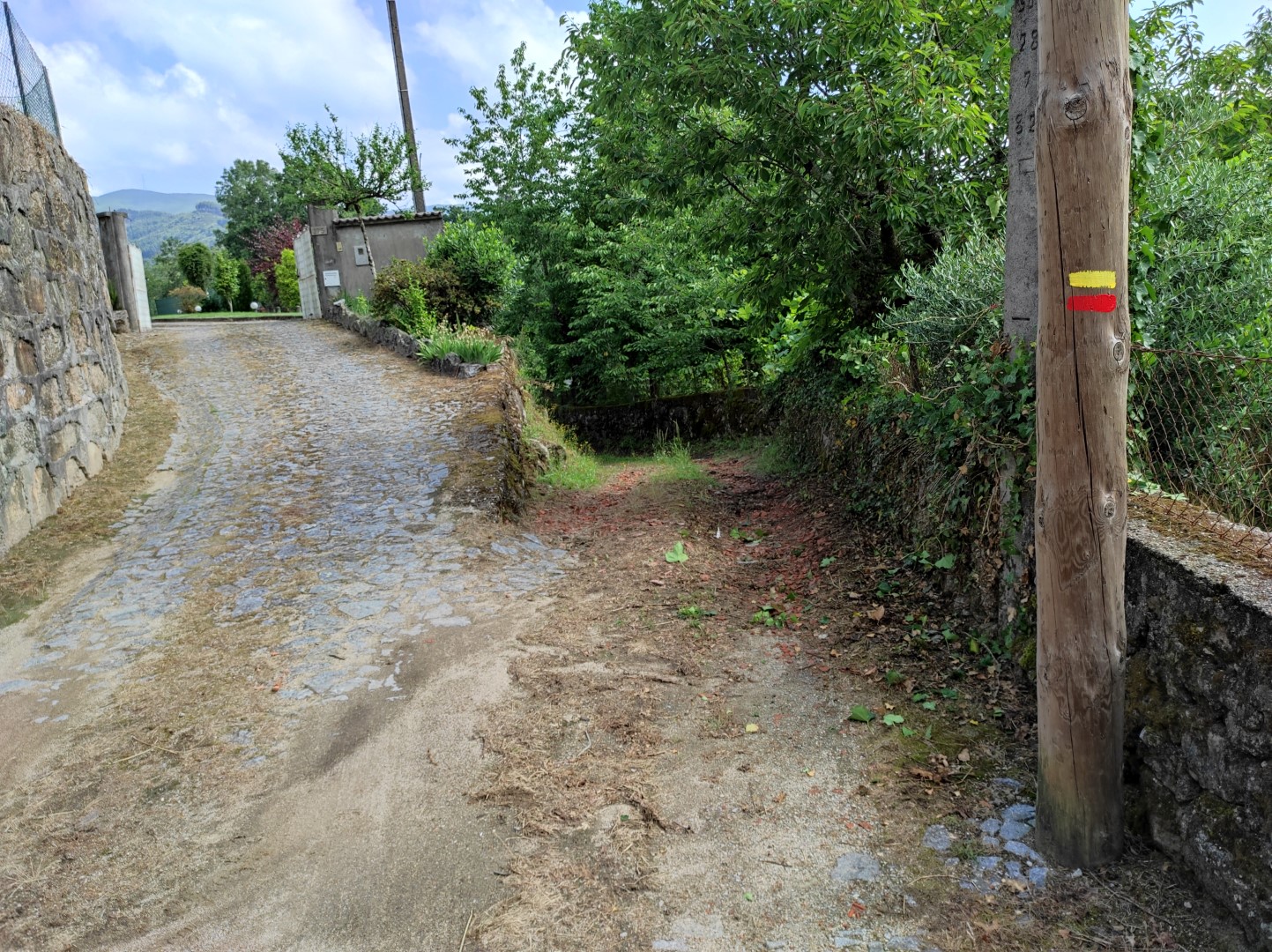 IMG 20230531 102033