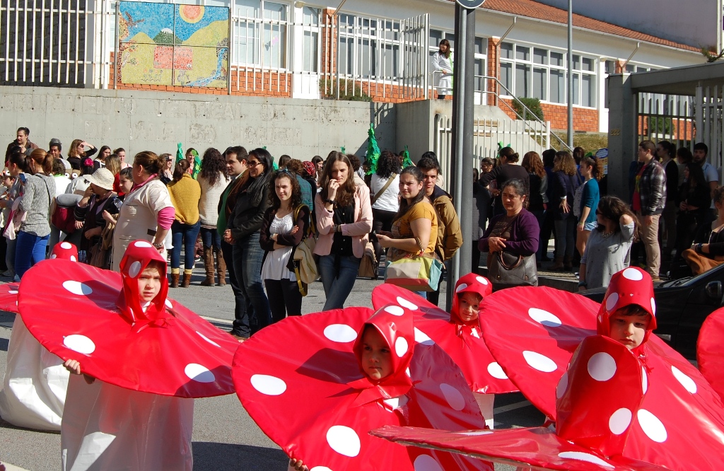 Carnaval em Terras de Bouro -  Interior