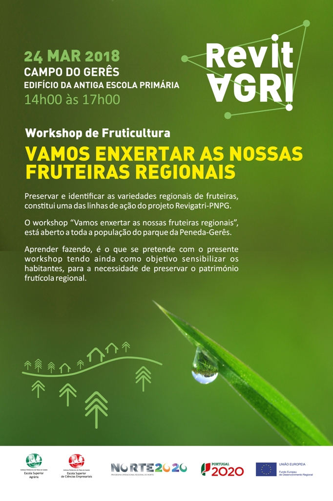 CAPA 2