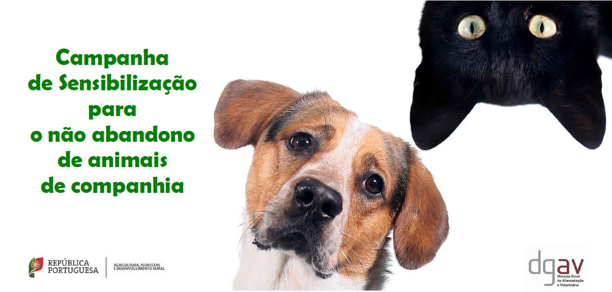 campanha