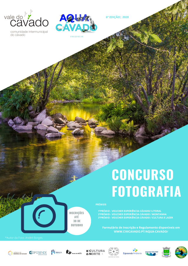 CARTAZ Custom